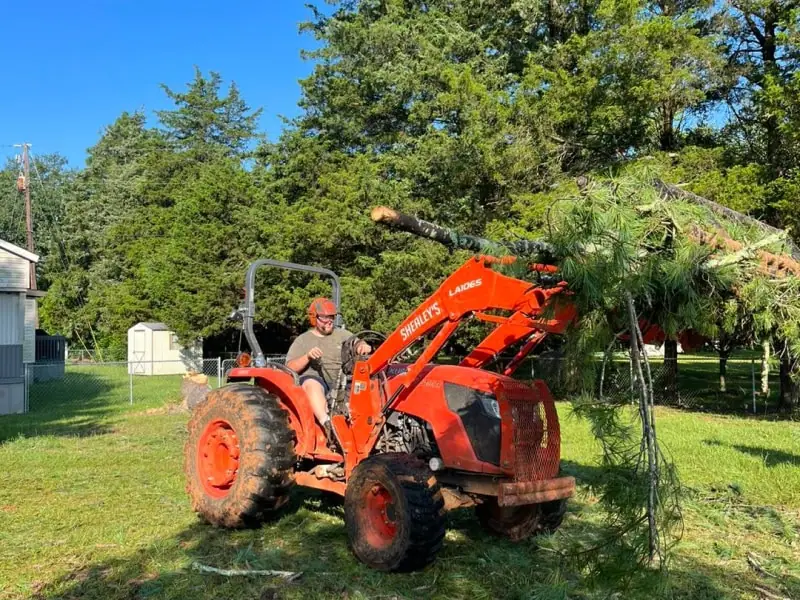 professional tree service crew Lexington South Carolina