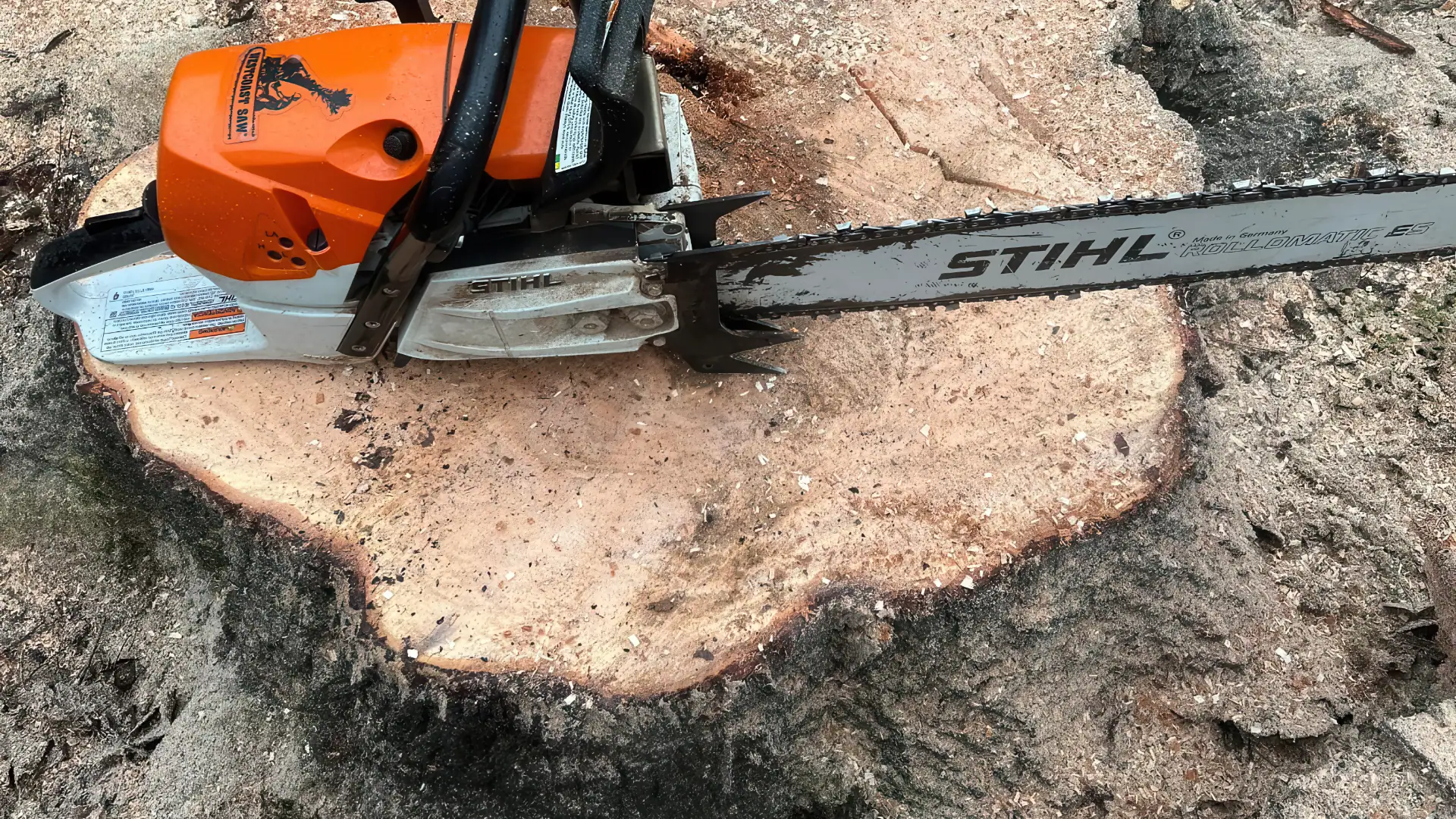 Professional stump grinding service in Lexington SC for a cleaner yard and safer property.
