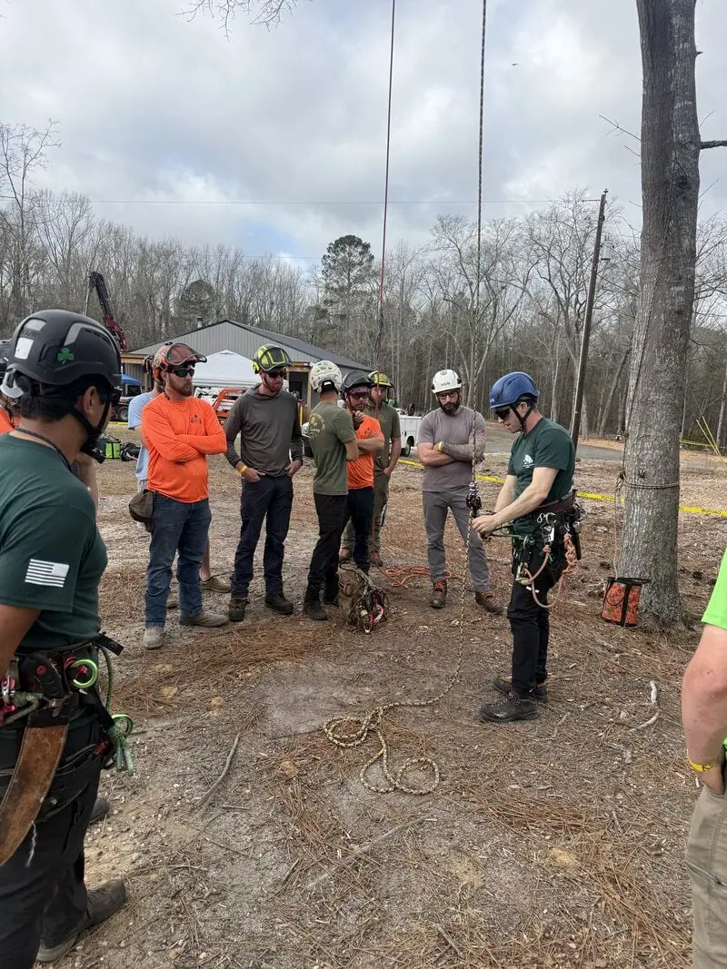Licensed tree removal service in Lexington SC with safe professional crew