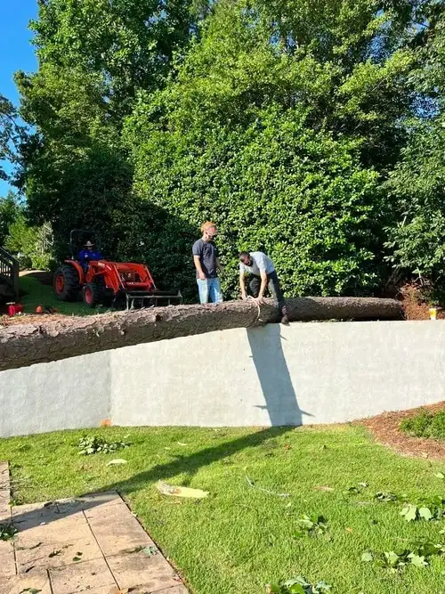 Tree climbing service in Lexington SC for emergency assistance